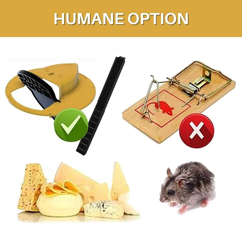 RH SWING LOW Mouse and Rat Trap